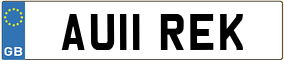 Trailer License Plate